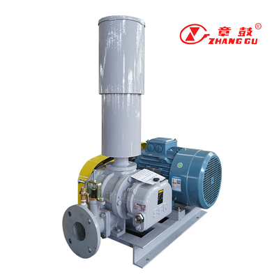 SSR Roots Vacuum Pump Roots Booster Vacuum Pump สําหรับกระบวนการที่สําคัญในภารกิจ