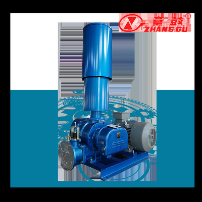 SSR Roots Vacuum Pump Roots Booster Vacuum Pump สําหรับกระบวนการที่สําคัญในภารกิจ